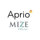 Mize CPAs Inc.